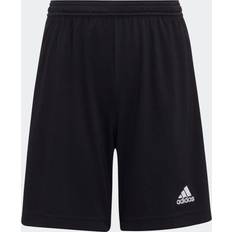 Men - Red Shorts Adidas Entrada Short-red-xs