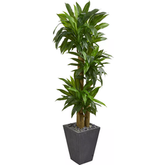 Nearly Natural Cornstalk Dracaena Artificial Plant