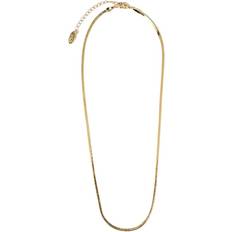 Orelia Flat Snake Chain Necklace - Gold