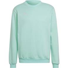 Türkis Oberteile adidas Entrada 22 Sweatshirt - Clear Mint (HC5042)