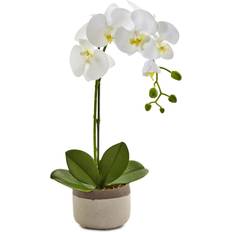 Garden Ornaments Nearly Natural Artificial Phalaenopsis Orchid in Ceramic Pot