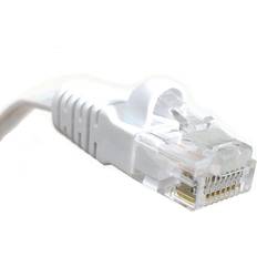 Micro Connectors Cat6 UTP RJ45 - RJ45 M-M 50ft