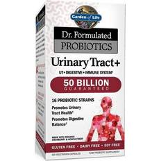 Supplements Garden of Life Dr. Formulated Probiotics Urinary Tract 50 Billion 60