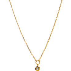 Gull Halskjeder Maanesten Dorith Necklace - Gold/Transparent