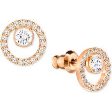 Swarovski Creativity Stud Earrings - Rose Gold/Transparent