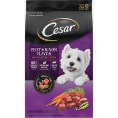 Cesar Filet Mignon Flavor & Spring Vegetables 2.3