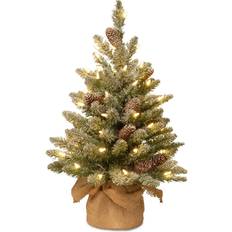 National Tree Company Snowy Concolor Fir Christmas Tree 24"