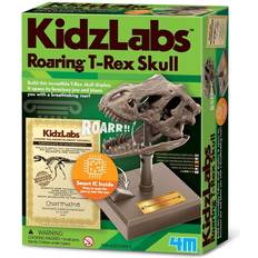 Experimente & Zauberei reduziert 4M KidzLabs Roaring T-Rex Skull