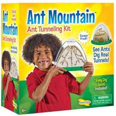 Science & Magic on sale Ant Mountain Habitat