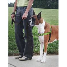 PetSafe Deluxe Easy Walk No Pull