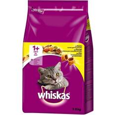 Whiskas Katzen - Trockenfutter Haustiere Whiskas 1+ Chicken 7kg