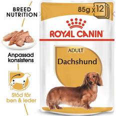 Royal Canin Wet Dachshund