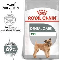 Royal Canin Hunder Husdyr Royal Canin Mini Dental Care Dry Dog 3kg