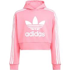 Adidas Adicolor Cropped Hoodie - Bliss Pink (HK0281)