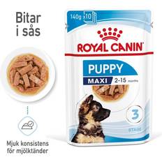Royal Canin Hunde - Nassfutter Haustiere Royal Canin Wet Maxi Puppy Saver Pack: