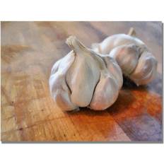 Trademark Fine Art Michelle Calkins Garlic Poster