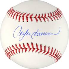 Fanatics Chicago Cubs Andre Dawson Autographed MLB Baseball