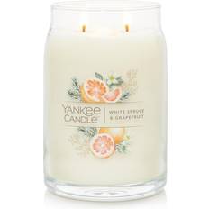 Yankee Candle (R) White Spruce & Grapefruit 20oz. Large Jar White