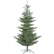 Glass Christmas Trees Vickerman 6' Alberta Spruce Artificial Unlit Unisex Christmas Tree