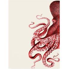 Trademark Fine Art Octopus Red & White A Wall Decor 35x47"