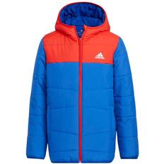 Adidas Padded Winter Jacket - Royal Blue (HM5177)