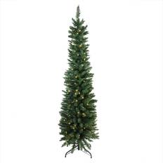 Northlight Seasonal 6ft. Balsam Fir Pencil Green Christmas Tree