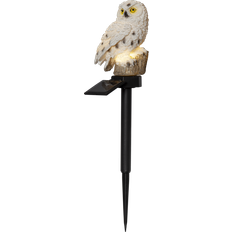 Solcellebelysning Bakkebelysning Star Trading Owl Bakkebelysning 33cm