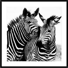 Glass Malerier Versa Zebra Krystal (2 x 50 x 50 cm) Maleri 50x50cm