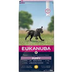 Eukanuba Hunder Husdyr Eukanuba Puppy Large Breed 15kg