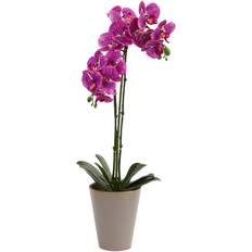 Nearly Natural 24â Potted Speckled Phalaenopsis