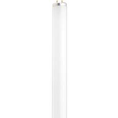 Sylvania light bulb Sylvania 22078 F20T12/CW Straight T12 Fluorescent Tube Light Bulb