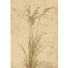 Beige Postere Venture Home Poster - Plant art Poster