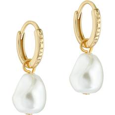 Gold Plated - Pearl Earrings Ted Baker Periaa Pearly Chain Huggie Earrings - Gold/Pearls