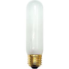 Light Bulbs Bulbrite 60-Watt T10 Frost Dimmable Warm White Light Incandescent Light Bulb (25-Pack)