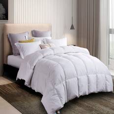 Cotton Bedspreads Martha Stewart 240 Thread Count Bedspread White