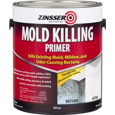 Paint Zinsser Mold Killing Wall Paint White