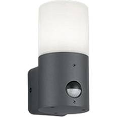 Trio Lighting Hoosic Vegglampe