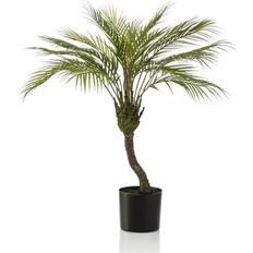 Zwiebelpflanzer Emerald Chamaedorea Palm 85