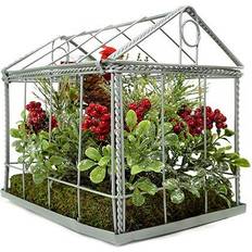 Greenhouses on sale Northlight 9" Red & Green Cardinal Boxwood Artificial Christmas Greenhouse Arrangement