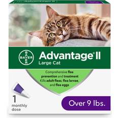 Pets Advantage Large Cat Vet-Recommended Flea Treatment & Prevention
