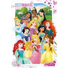 Innredningsdetaljer Disney Princess Poster 286