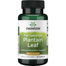 Swanson Vitamins & Minerals Swanson Premium Full Spectrum Plantain Leaf Vitamin 400
