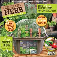 Plant Kits Gardener Biosphere Terrarium Culinary Herb