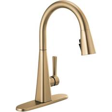 Delta 19802Z-DST Single-Handle Faucet ShieldSpray Bronze Faucet