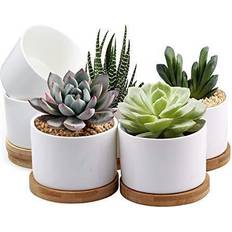 Algreen Acerra 12x20 Curved Yard & Garden Planter, Marble • Price »