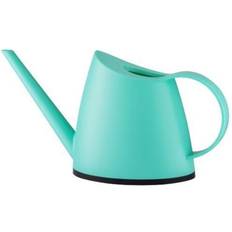 Small Translucent Watering Can Perfect