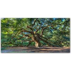 Trademark Fine Art Angel Oak Charleston Canvas Framed Art 24x18"