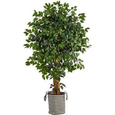Artificial Plants Nearly Natural 5.5Ft Ficus Tree