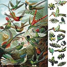 Wooden Jigsaw Puzzles for Adults with Uniquely Shaped Pieces made in USA by FoxSmartBox 145 Pieces Hummingbirds (Trochilidae)