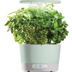 AeroGarden Pots, Plants & Cultivation AeroGarden Indoor Harvest 360, Sage